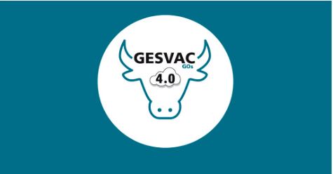 GESVAC 4.0