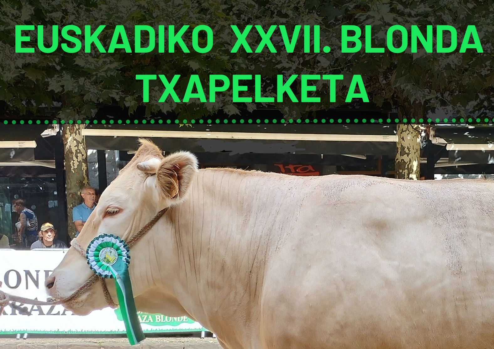 EUSKADIKO XXVII. BLONDA TXAPELKETA